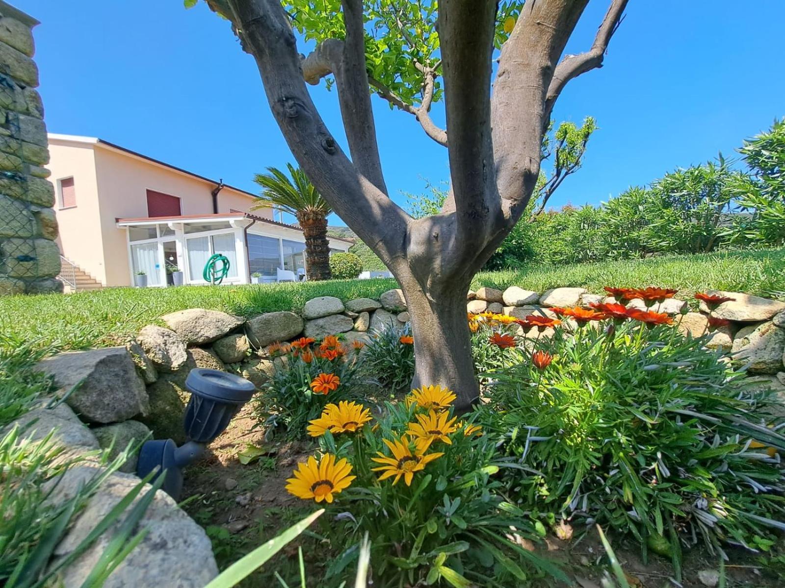 B&B Capo Al Piano Marciana Marina  Exterior photo